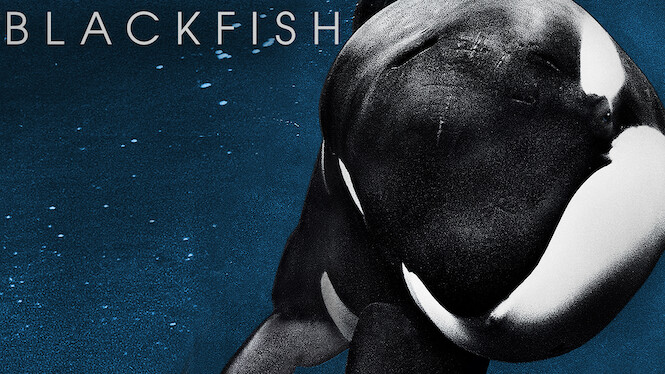 Blackfish (2013) - Netflix | Flixable